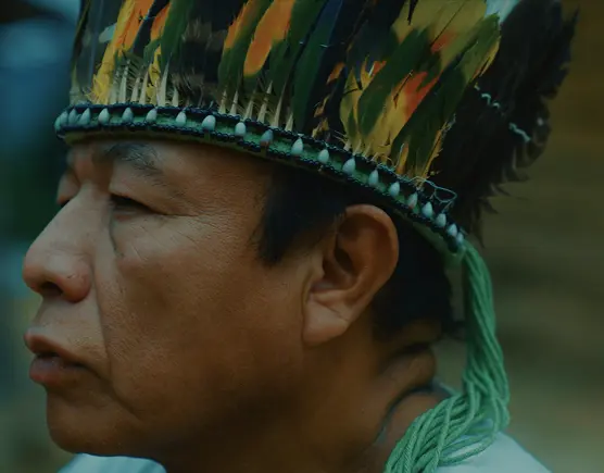 Documentário Águas do Ribeira