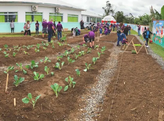 Crianças interagindo com a horta