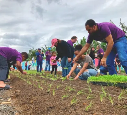 Equipe e parceiros do projeto