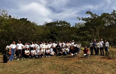 Instituto Terra e Reflorestamento