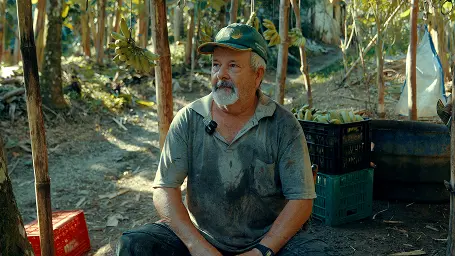 Educação Ambiental na Prática