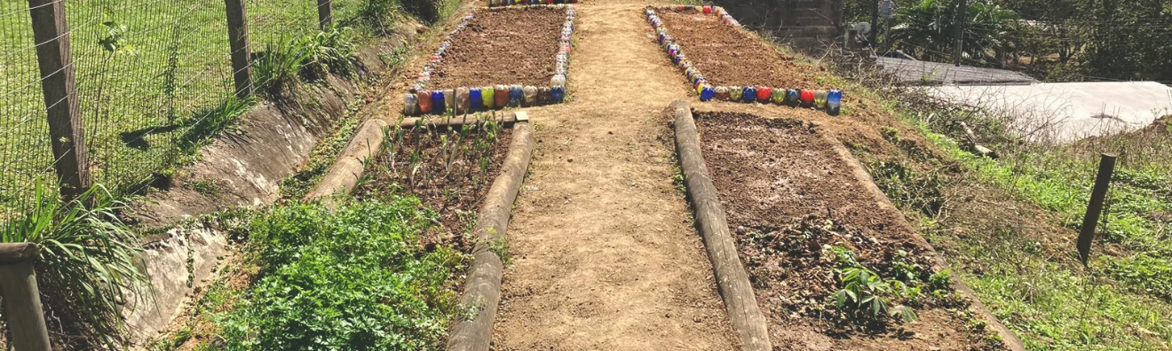 Preservalle Inicia Projeto Horta Pedagógica Junto aos Alunos da APAE de Miracatu