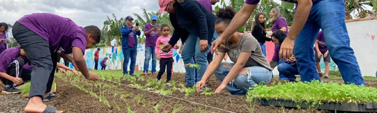 Projeto Horta Pedagógica Implementado com Sucesso em União de Esforços para o Bem Comum