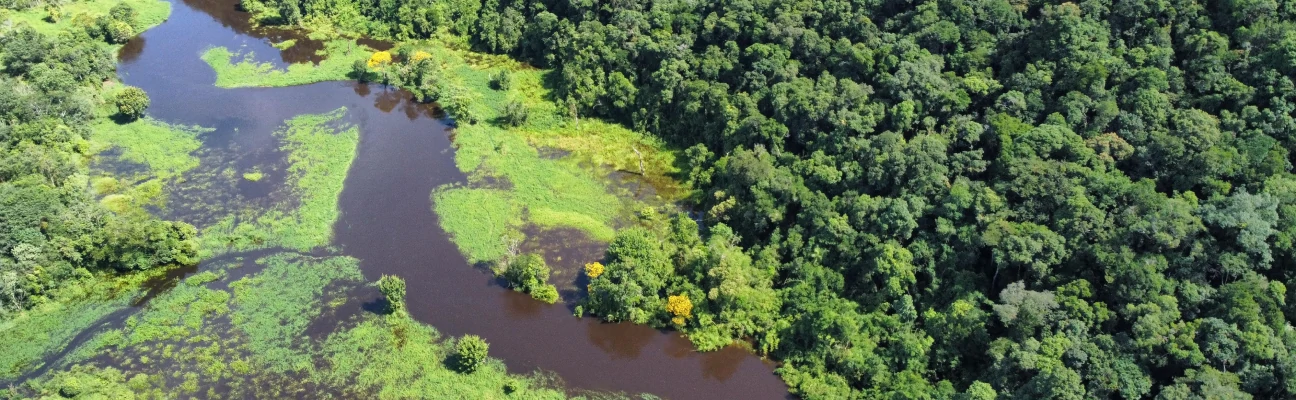 Encontro do Rio Cedro com o Rio Turvo, em Cajati