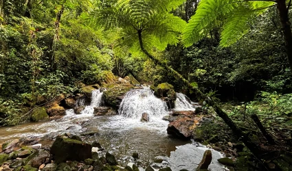 Cachoeira da Samambaia, em Cajati