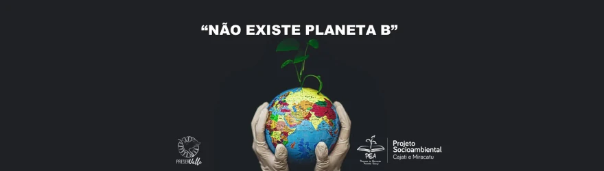 Imagem de duas mãos, com luvas, segurando um globo terrestre, com uma planta nascendo no topo