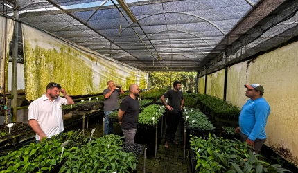 Algumas pessoas em uma estufa de plantas