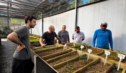 Algumas pessoas em uma estufa de plantas